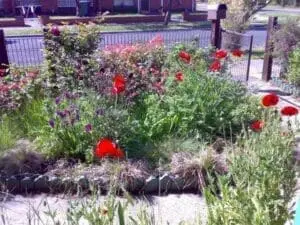 News and Events 4 madison april 1486393715
