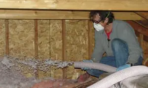 Read more about the article Is Insulating a Crawlspace Worth the Investment?