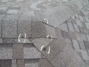 Hail Damaged Roofing Shingles Inspection
