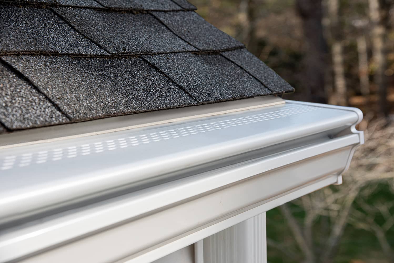 Read more about the article Do GutterShutter® Gutters Work With Pine Needles?