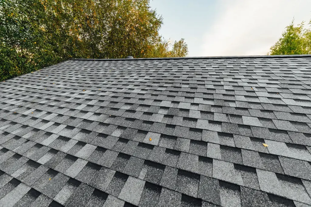gray asphalt shingle roof