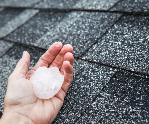 Hail in hand on a rooftop after hailstorm damaged the roof